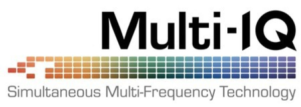 Технология Multi-IQ в металлоискателях Minelab
